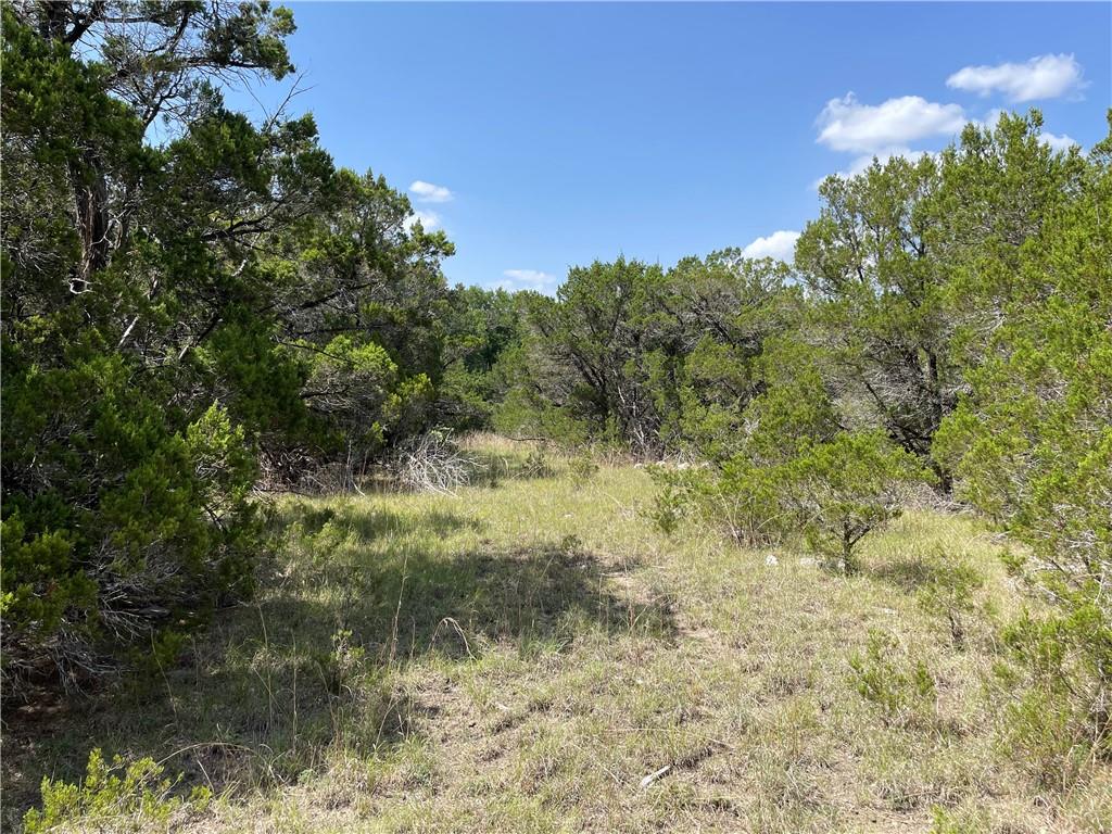 271 Ridgeline Road Leander, TX 78641 - Photo 10 of 20 a view of a lake with a forest