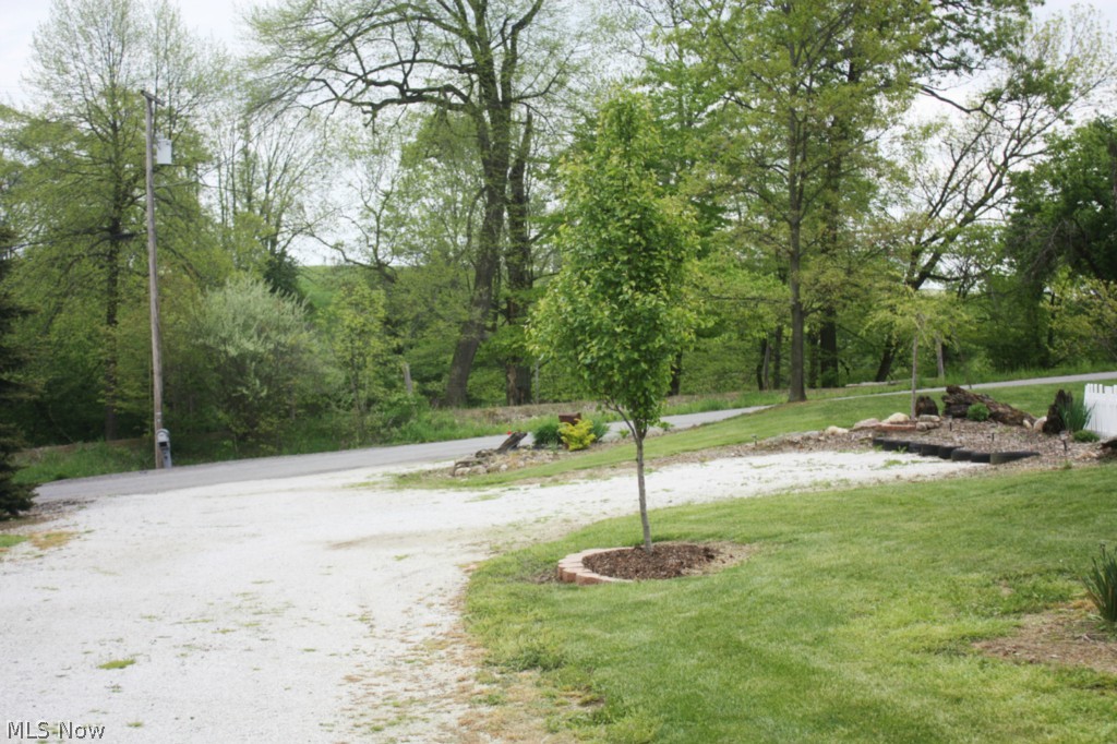 7133 Lowmiller Road Minerva, OH 44657 - Photo 5 of 19