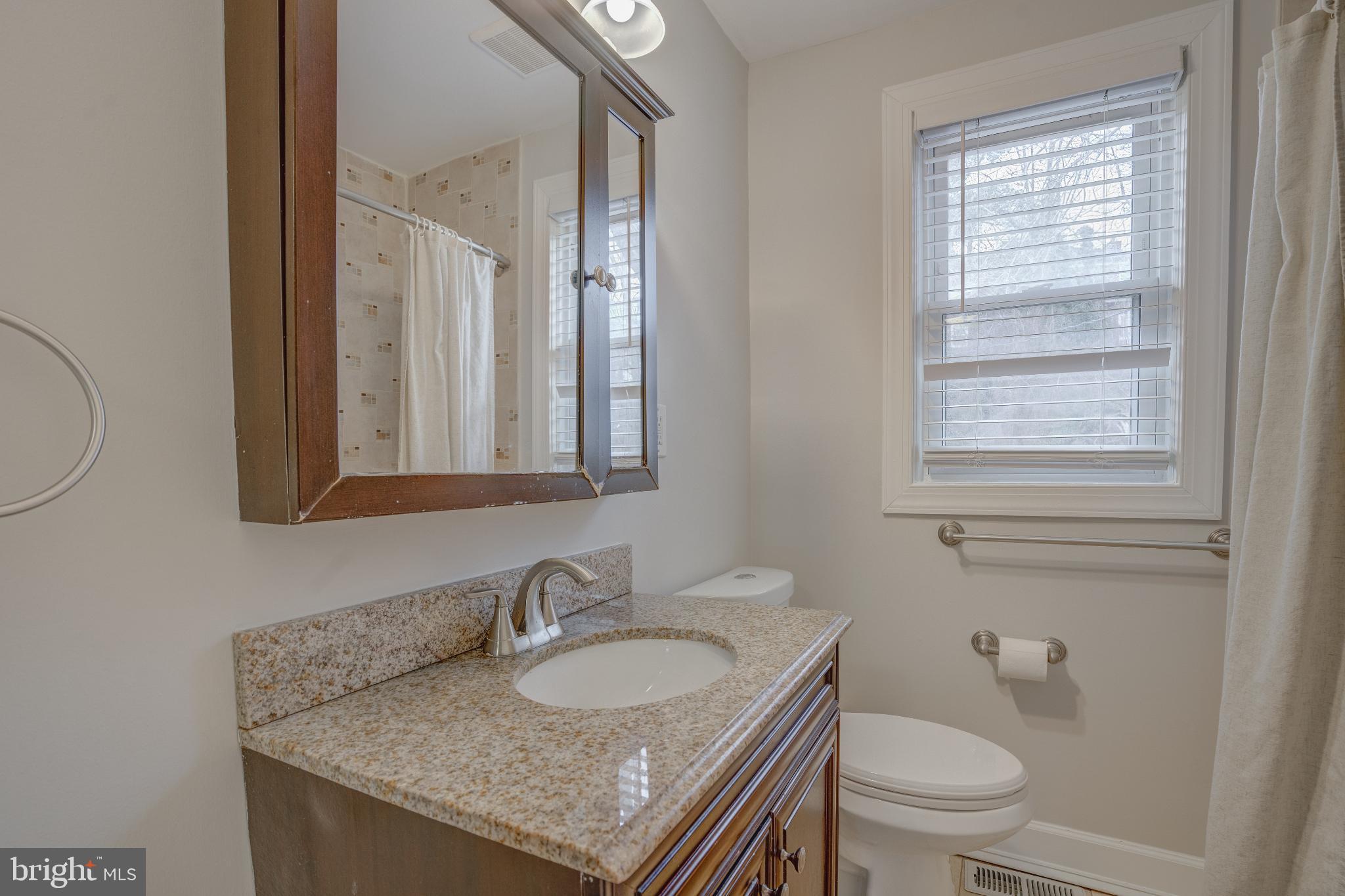 4814 Briarclift Road Baltimore, MD 21229 - Photo 18 of 34 a bathroom with a granite countertop sink and a toilet