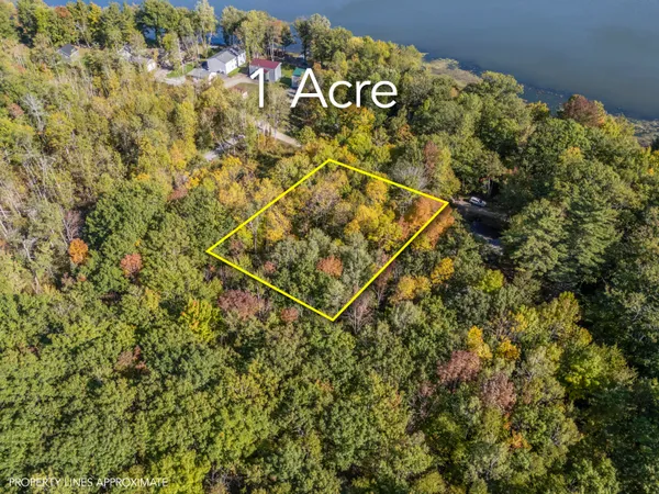 $32,000 | Lot #58 South Vigue Shore Road, Albion, ME 04910