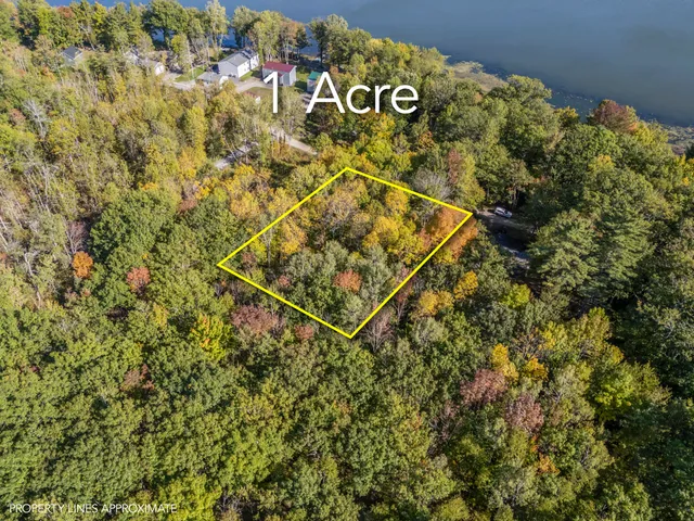 $32,000 | Lot #58 South Vigue Shore Road, Albion, ME 04910