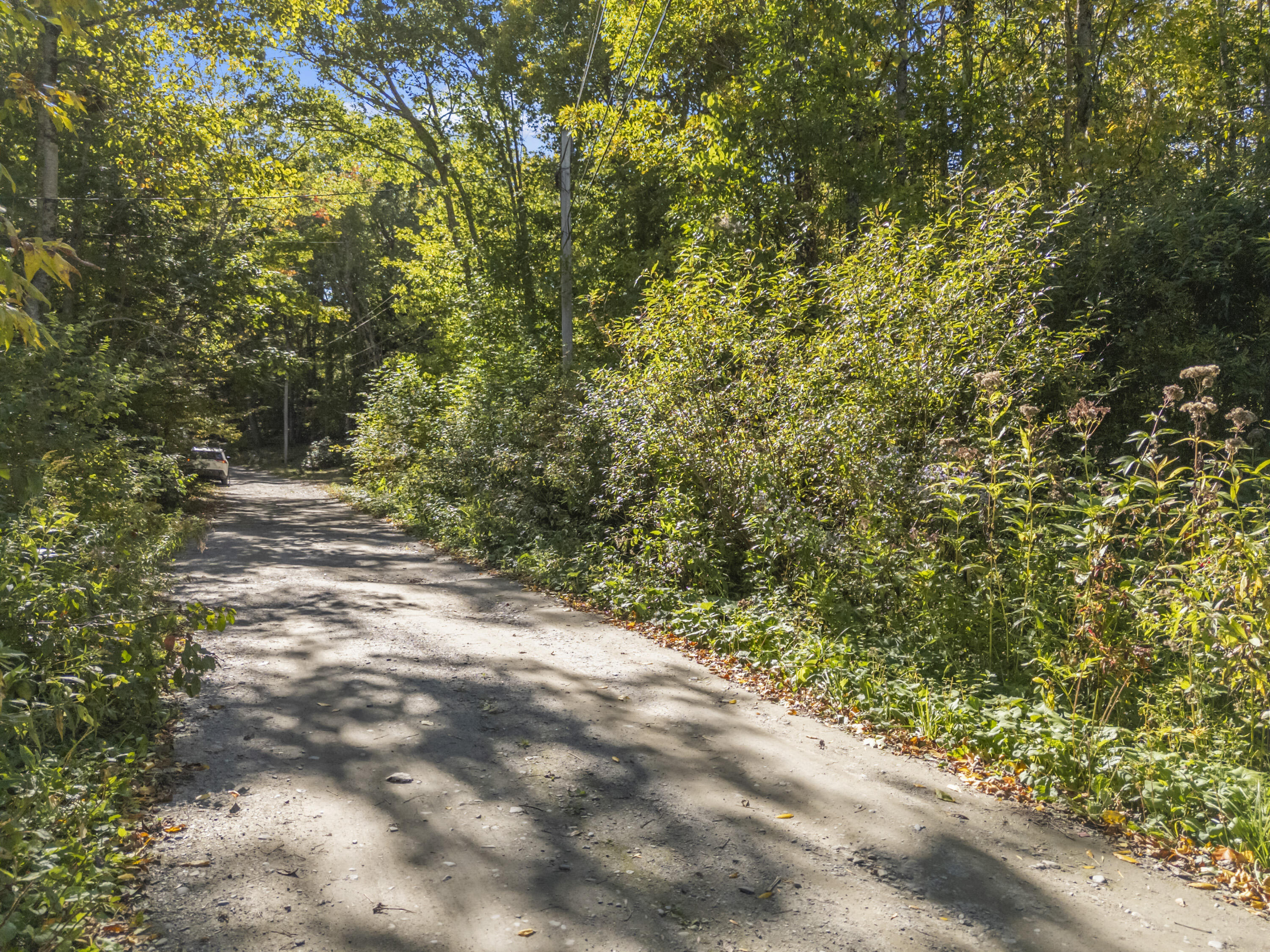 Lot #58 South Vigue Shore Road Albion, ME 04910 - Photo 11 of 25 Lot 58 Vigue Shore Rd_0102