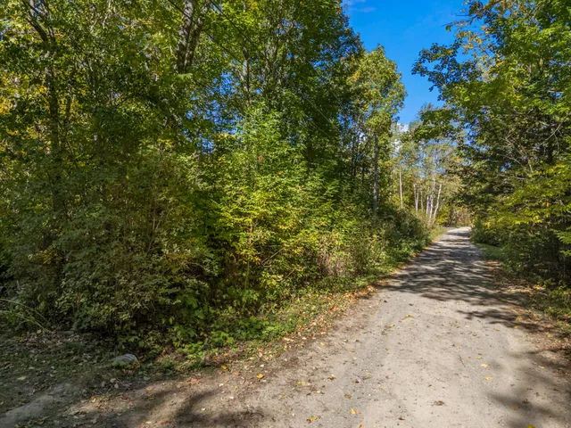 $32,000 | Lot #58 South Vigue Shore Road, Albion, ME 04910
