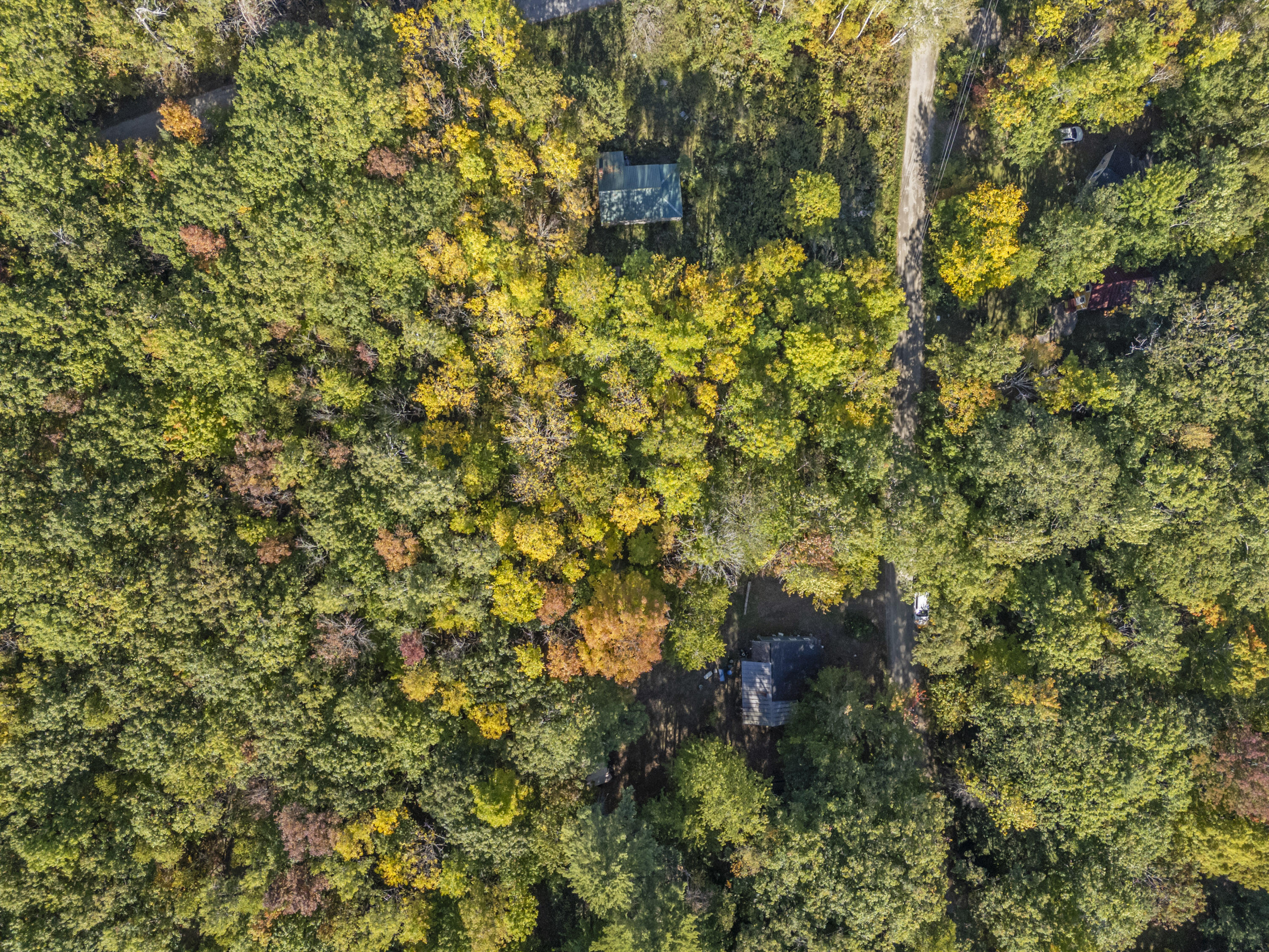 Lot #58 South Vigue Shore Road Albion, ME 04910 - Photo 5 of 27 Lot 58 Vigue Shore Rd_0113