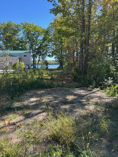 Lot #58 South Vigue Shore Road Albion, ME 04910 - Photo 6 of 25 IMG_1248
