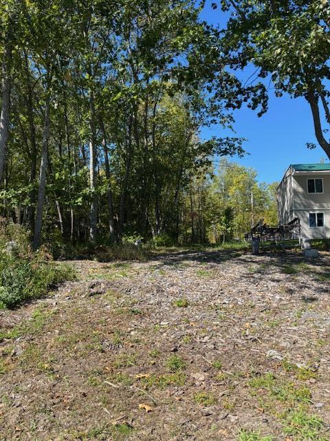 Lot #58 South Vigue Shore Road Albion, ME 04910 - Photo 7 of 25 IMG_1252