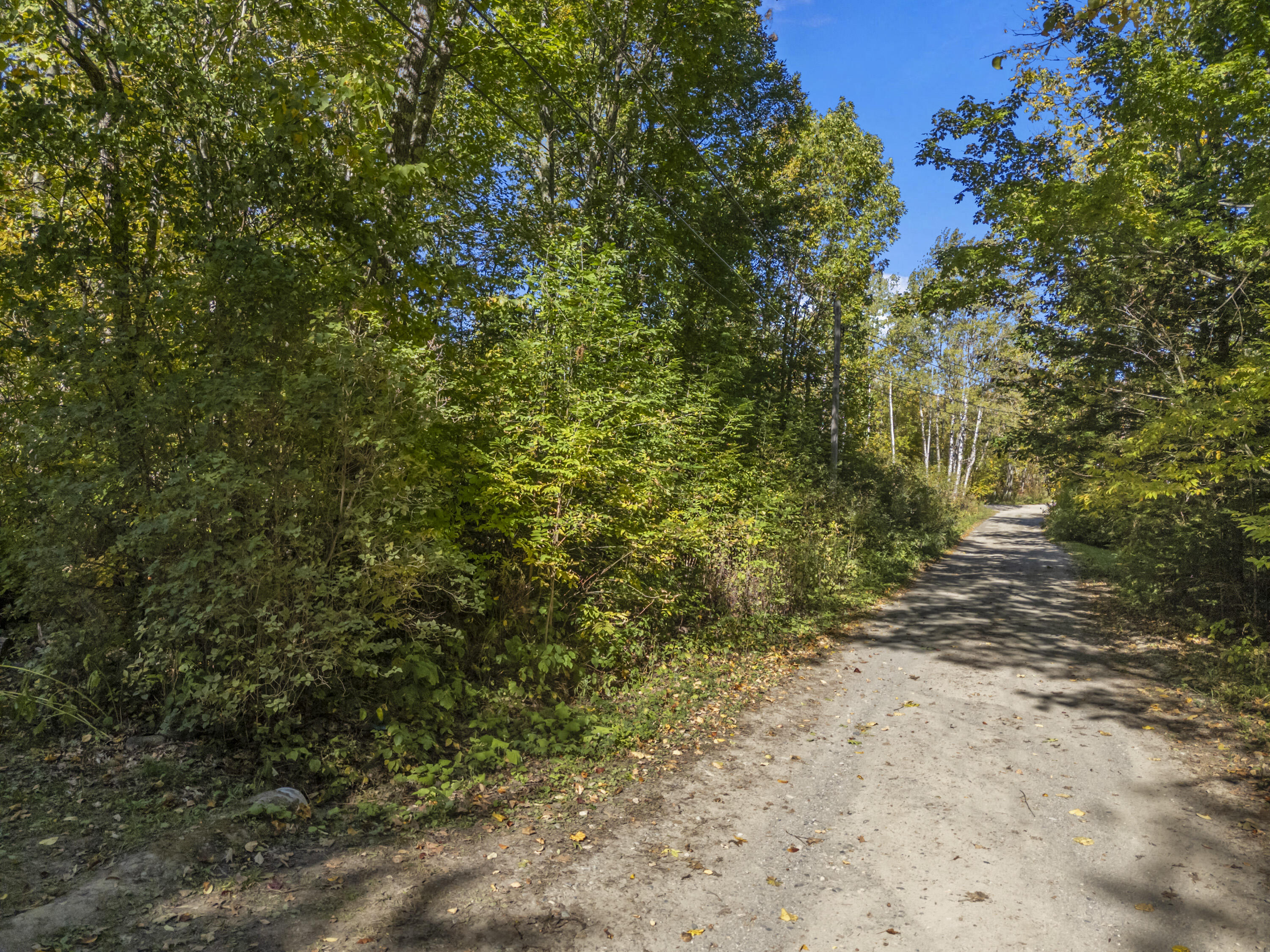 Lot #58 South Vigue Shore Road Albion, ME 04910 - Photo 10 of 25 Lot 58 Vigue Shore Rd_0101