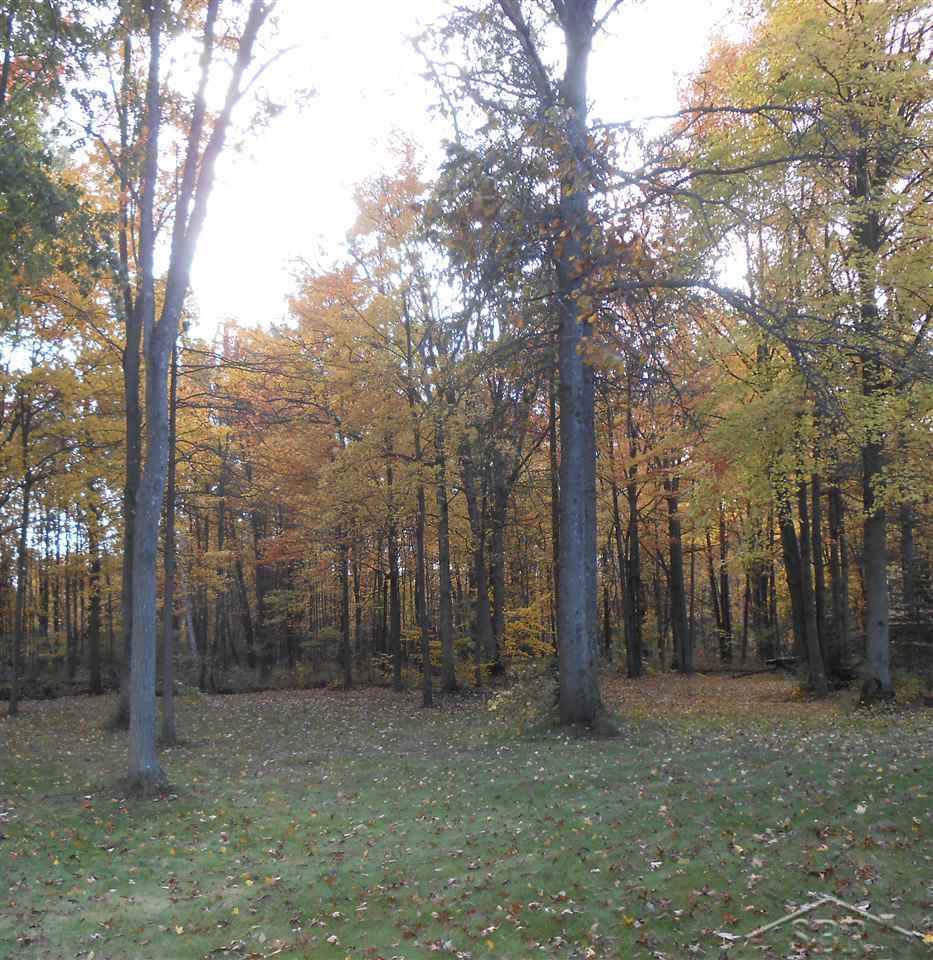 6760 South Steel Road St. Charles, MI 48655 - Photo 42 of 43 Fall Yard