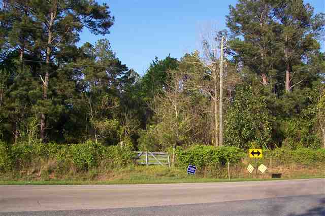 Frank Smith Road Quincy, FL 32352 - Photo 1 of 5 Gallery Image 1