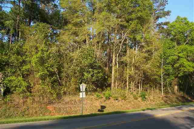 Frank Smith Road Quincy, FL 32352 - Photo 3 of 5 Gallery Image 3