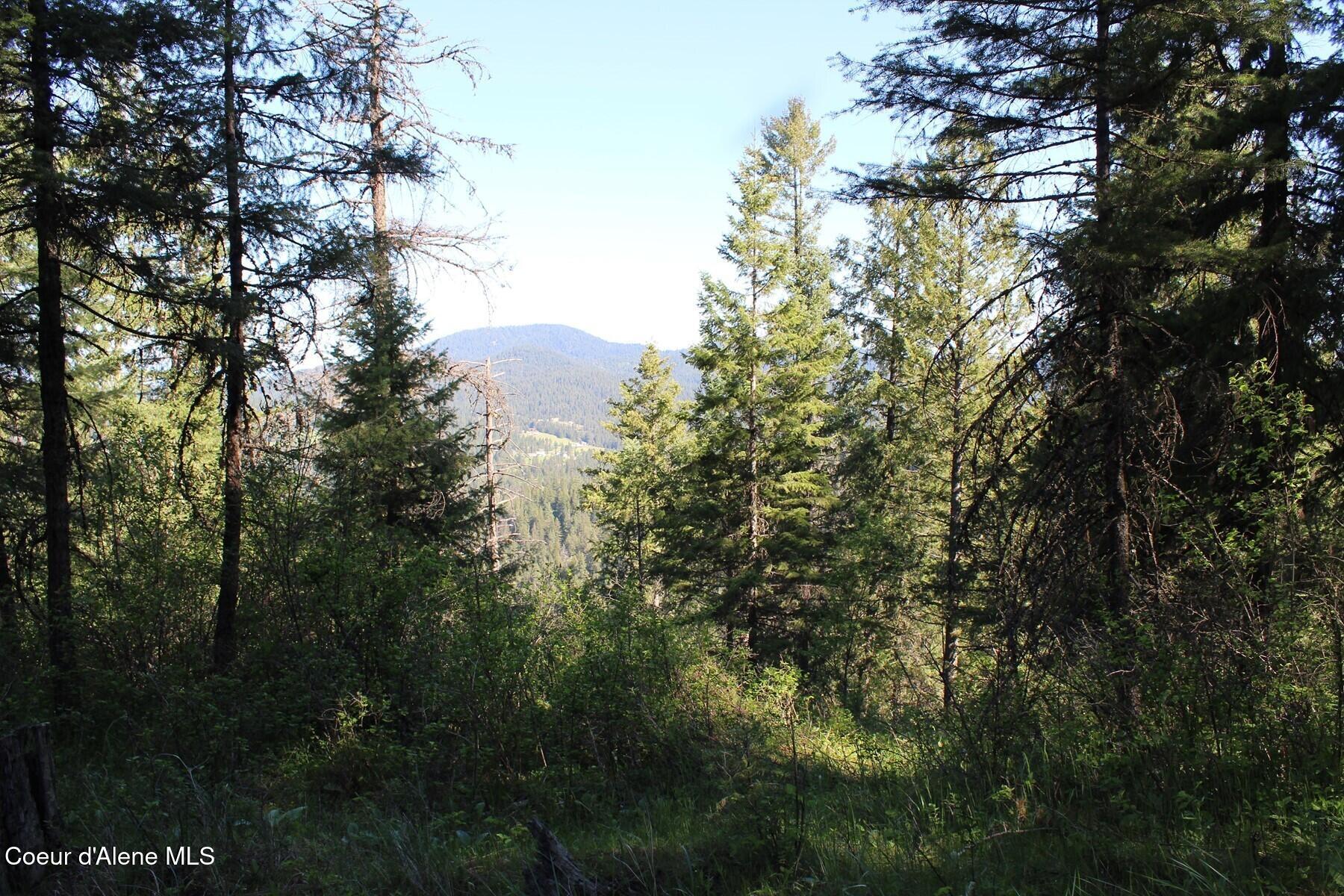 881-2714 South Allen Road Coeur D'Alene, ID 83814 - Photo 9 of 54 Haven Northside Views