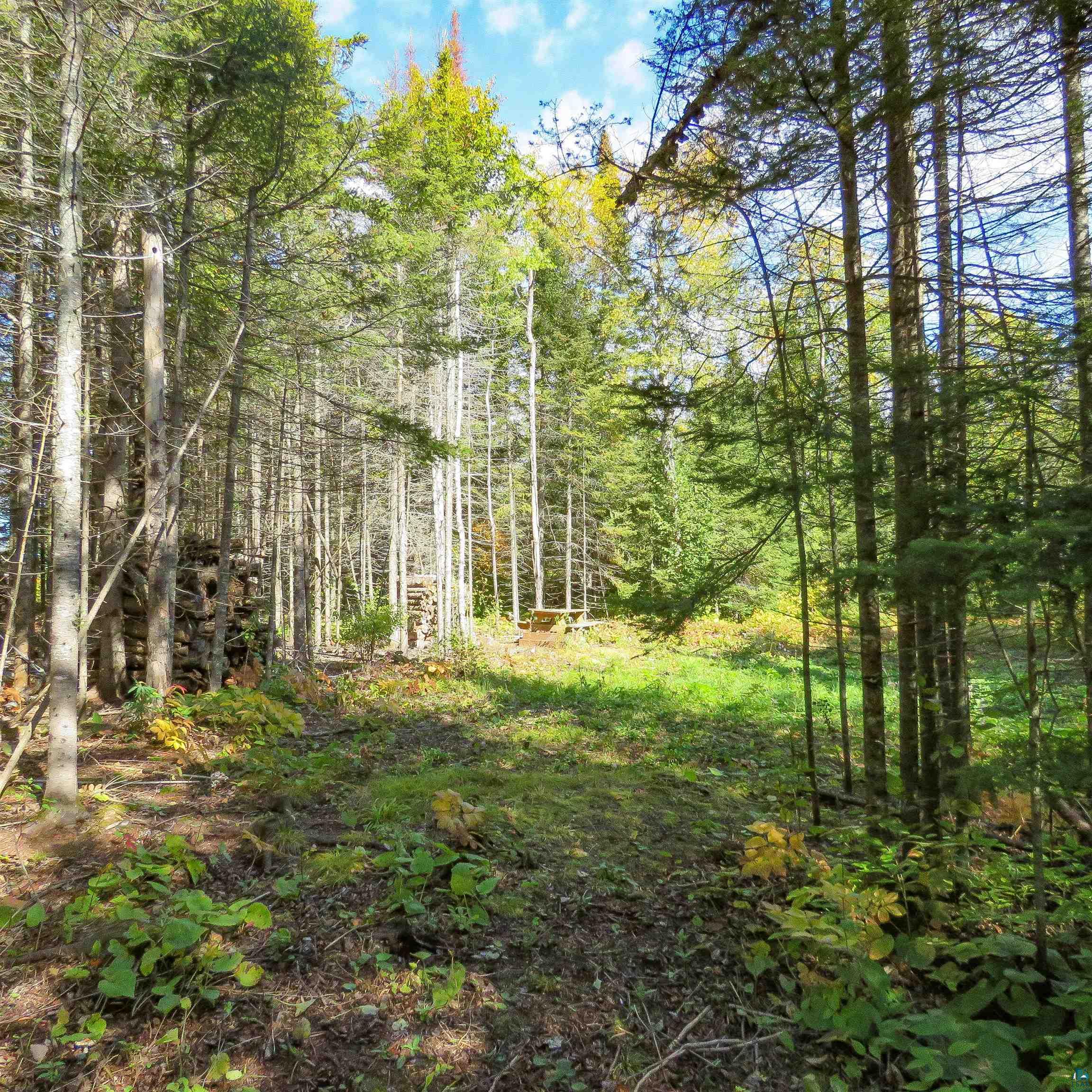 435 Cramer Road Schroeder, MN 55613 - Photo 11 of 59 Gallery Image 11
