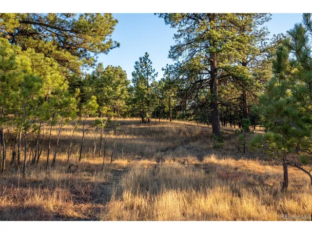 a view of swimming pool with a yard