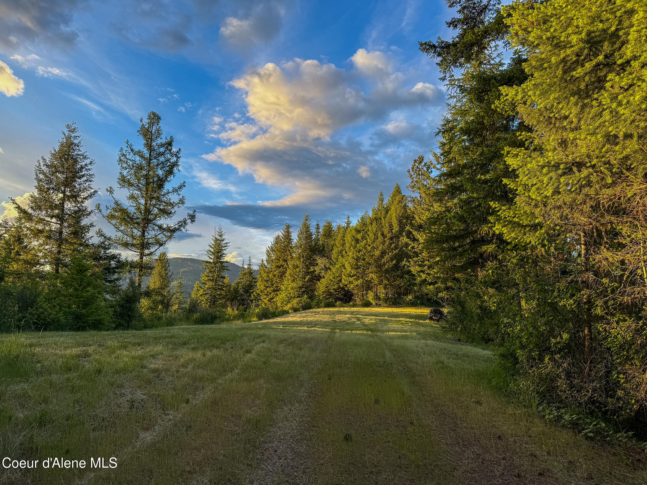 Lot 2 Ridgeview Drive St. Maries, ID 83861 - Photo 6 of 24 IMG_6975-22