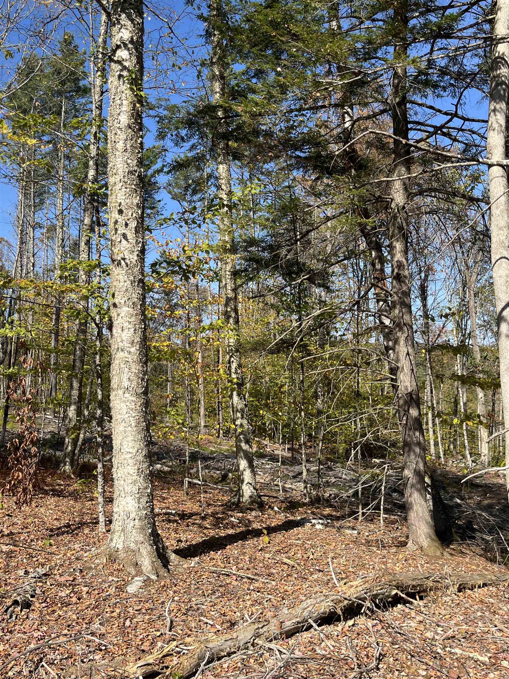 007 Underwood Road South Acworth, NH 03607 - Photo 5 of 10 Gallery Image 5