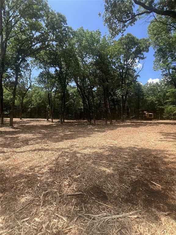 0 County Road Windom, TX 75492 - Photo 3 of 9 a view of outdoor space with trees