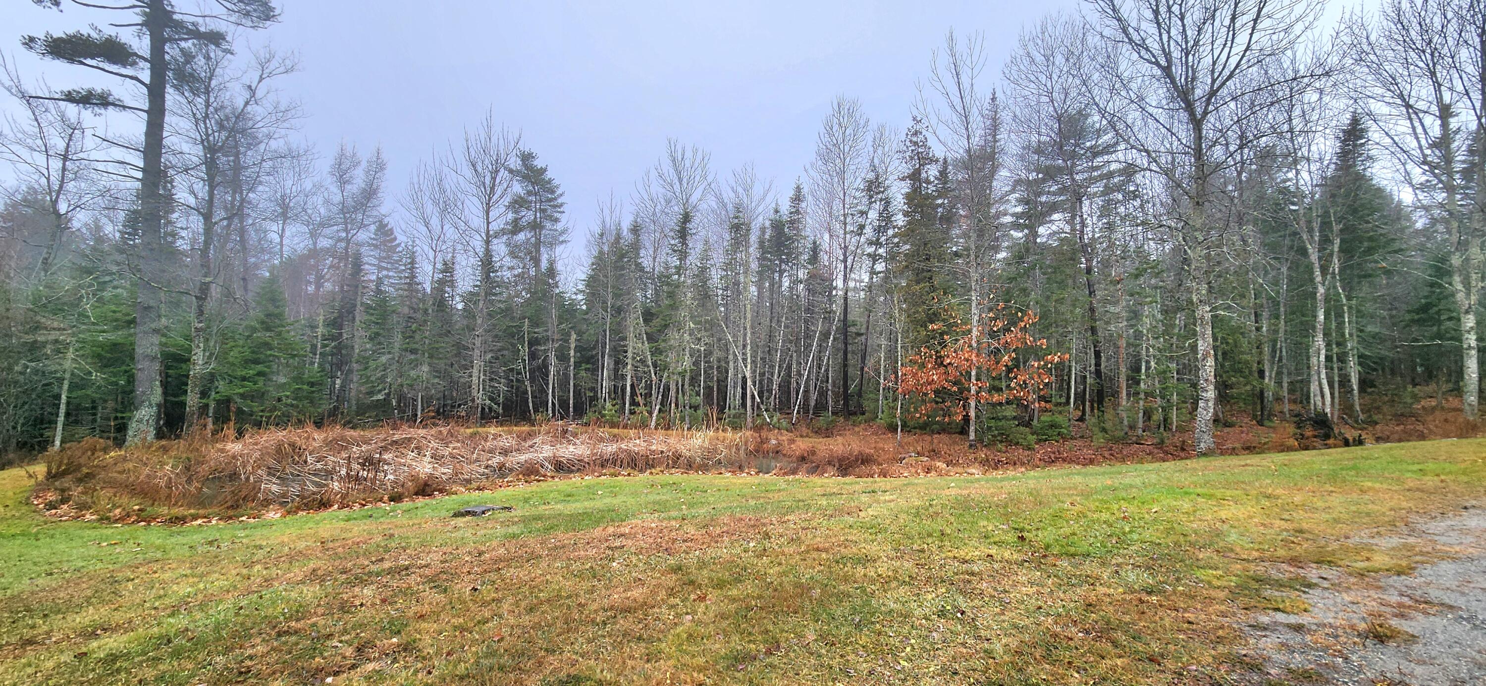 254 Mariaville Road Ellsworth, ME 04605 - Photo 44 of 60 Back Yard