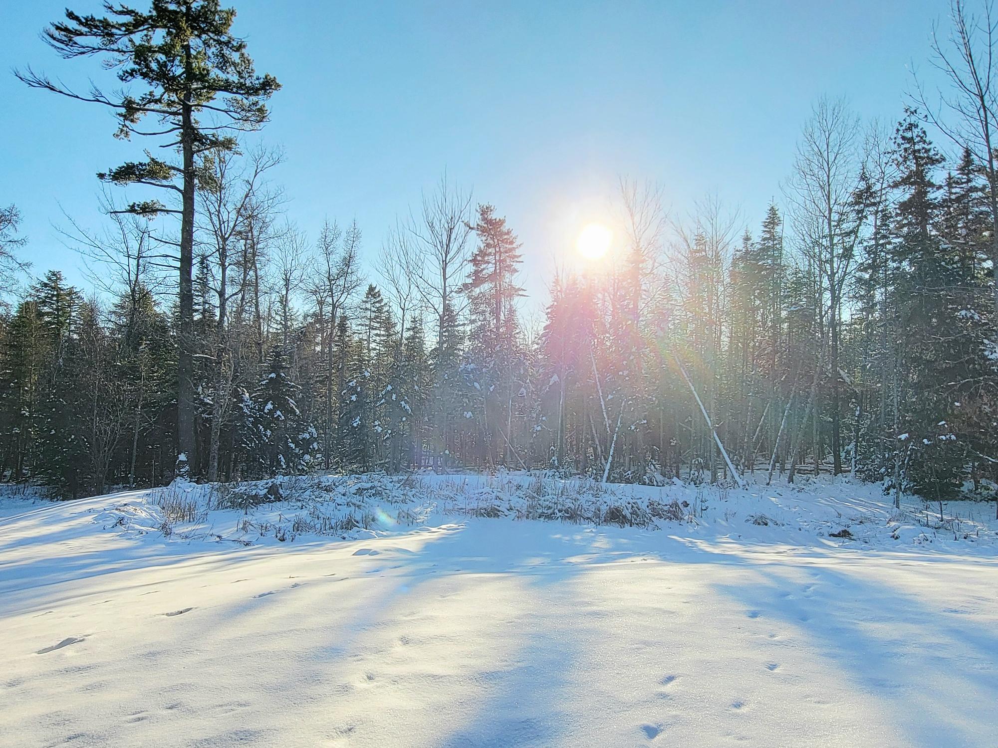 254 Mariaville Road Ellsworth, ME 04605 - Photo 51 of 60 Pond