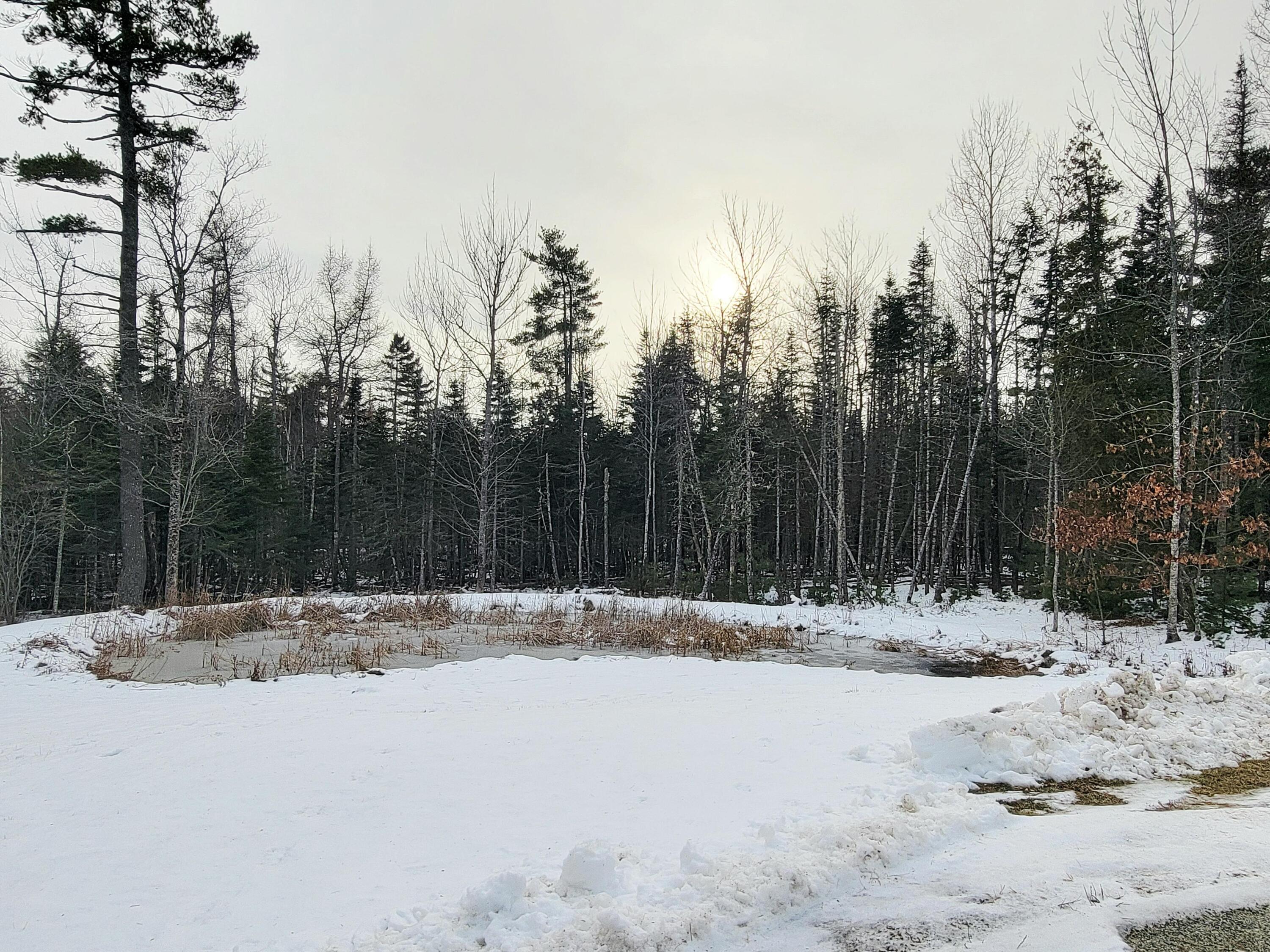 254 Mariaville Road Ellsworth, ME 04605 - Photo 52 of 60 Pond