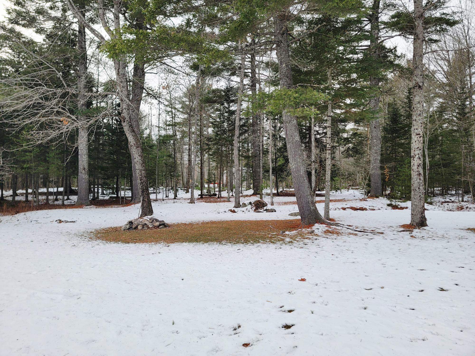 254 Mariaville Road Ellsworth, ME 04605 - Photo 53 of 60 Mature Trees