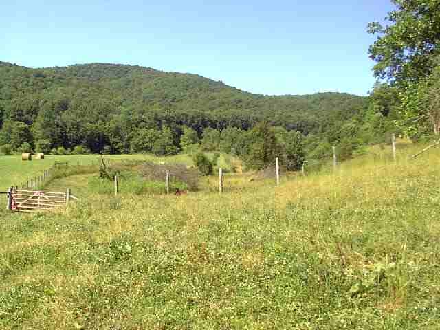 *** Carlock Creek Road Chilhowie, VA 24319 - Photo 3 of 7 Gallery Image 3