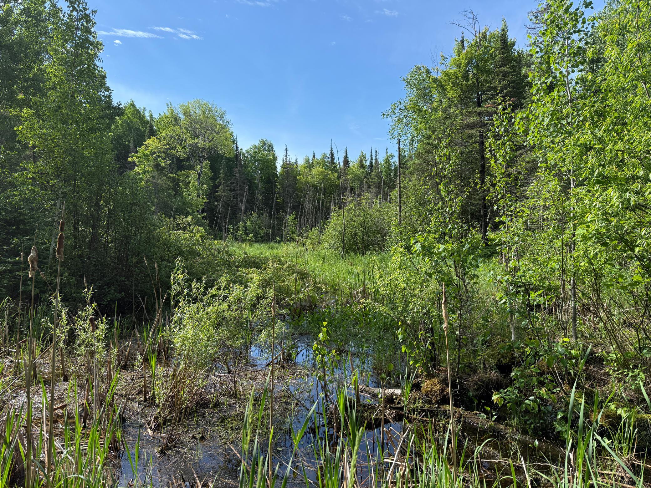 Tbd Arnold Road Duluth, MN 55803 - Photo 23 of 35