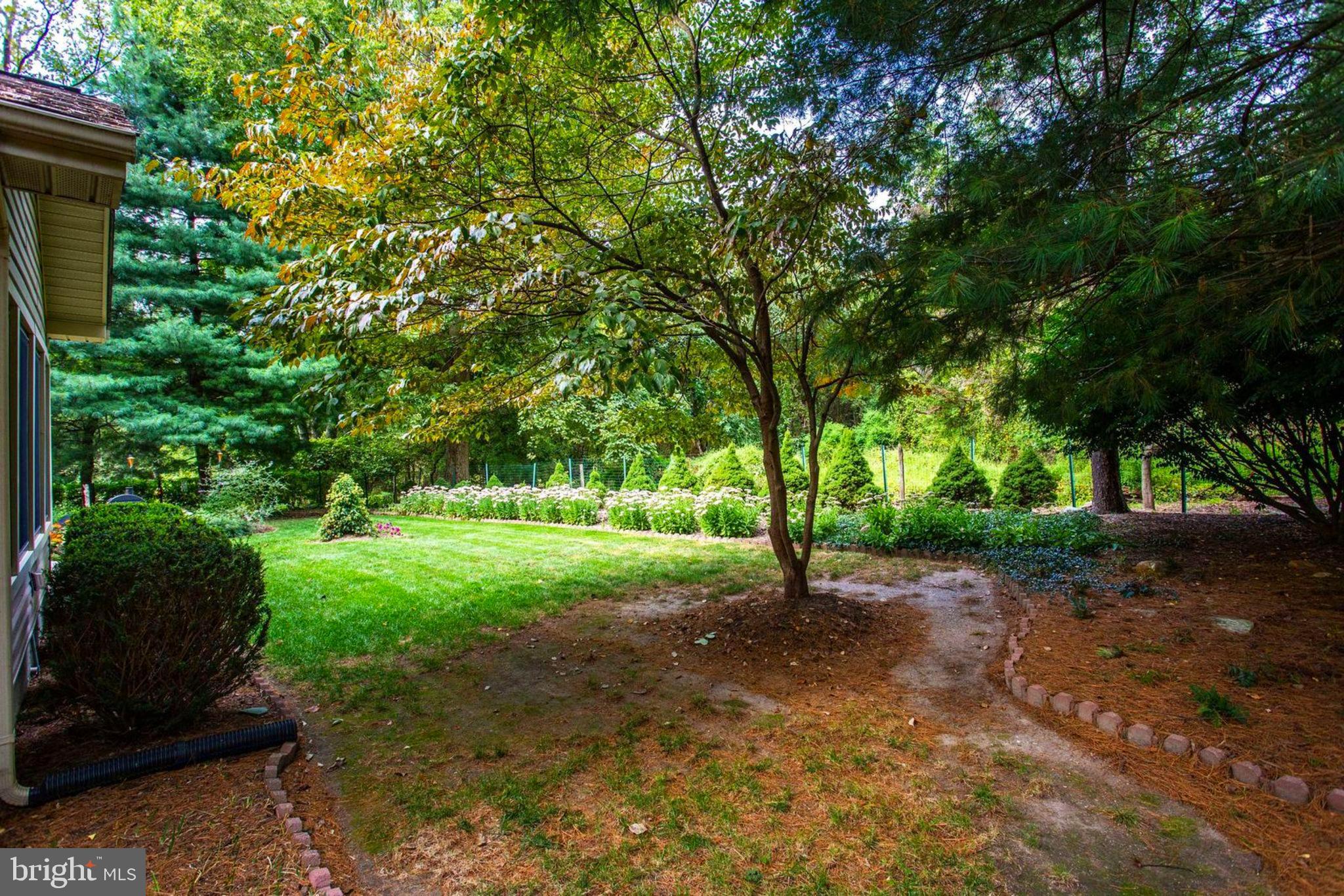 6948 Fox Chase Road New Market, MD 21774 - Photo 52 of 62 Private Lawn Space to Enjoy
