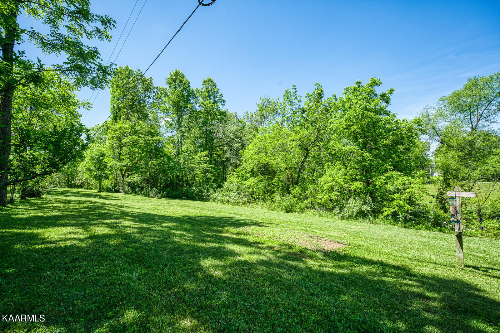1141 Burrville Road Sunbright, TN 37872 - Photo 7 of 34 07_1141_Burrville_Rd_Sunbright061_TNPC2_