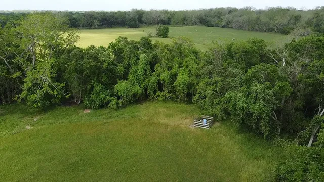 $350,000 | 6707 Fm-1728, Boling, TX 77420