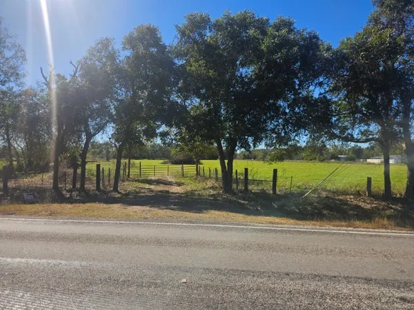 a view of a field of grass and trees