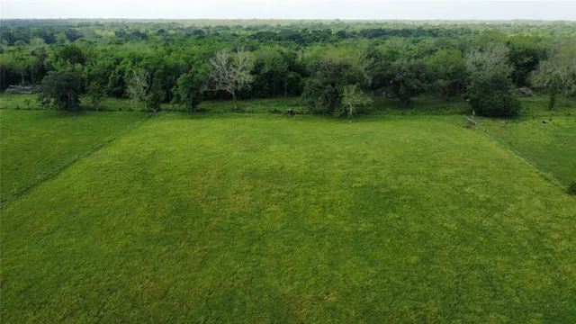 $350,000 | 6707 Fm-1728, Boling, TX 77420