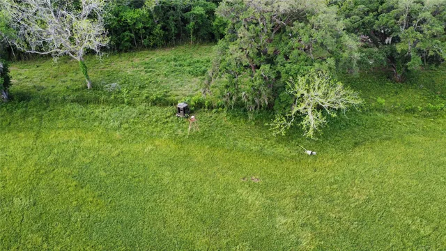 $350,000 | 6707 Fm-1728, Boling, TX 77420