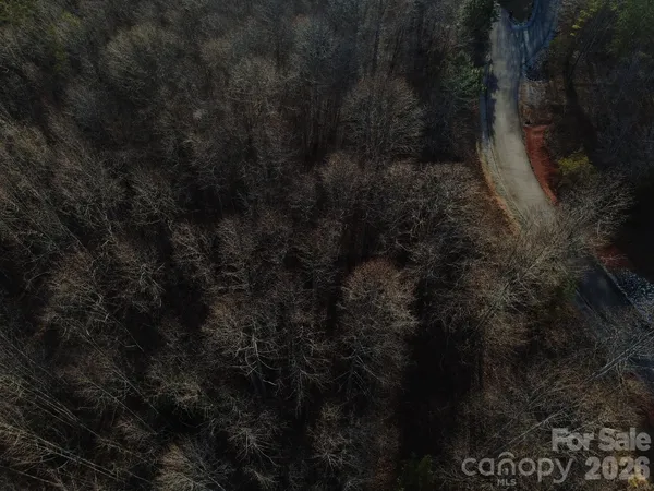 a view of a lush green forest with a mountain