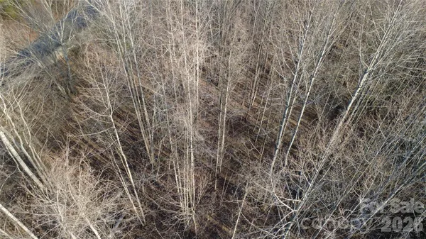 a view of a backyard of a house