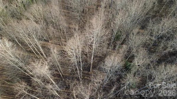a view of a field with trees in the background