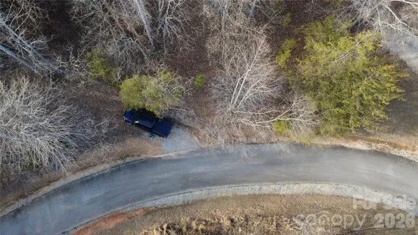 a view of a yard with large trees