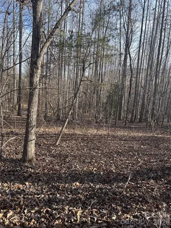 a view of a yard with lots of green space