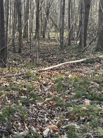 a backyard of a building