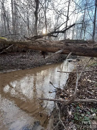 a backyard of a house with lots of plants