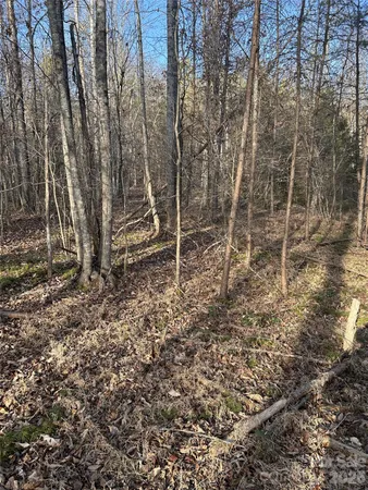 a big yard with lots of green space