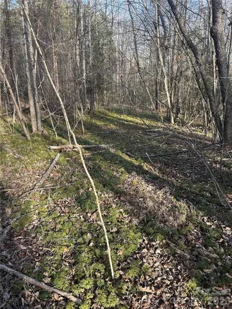 a view of a outdoor space