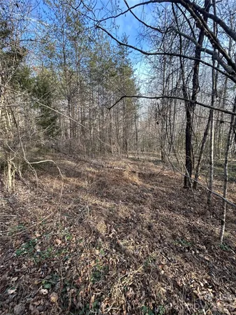 $65,000 | Lot 23-24 Double Eagle Drive, Unit 23 & 24, Nebo, NC 28761