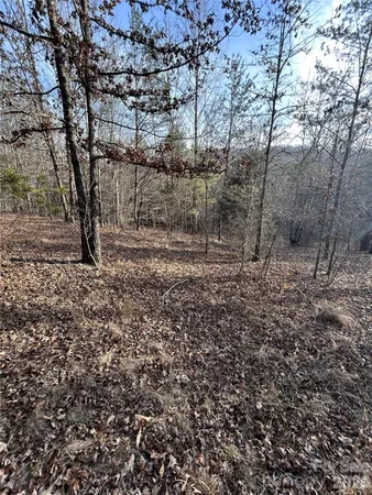 $65,000 | Lot 23-24 Double Eagle Drive, Unit 23 & 24, Nebo, NC 28761