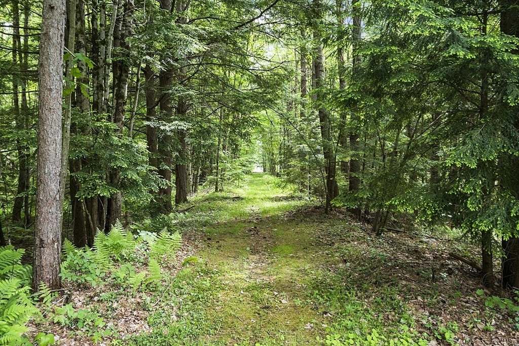 112 Baldwinville State Road Winchendon, MA 01475 - Photo 32 of 42 a large yard with lots of green space and trees