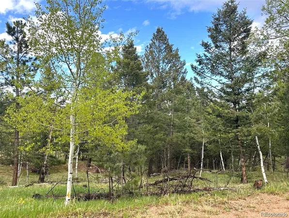 $159,000 | 1845 Burland Drive, Bailey, CO 80421
