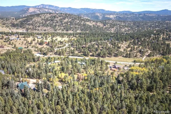 a view of a lush green forest
