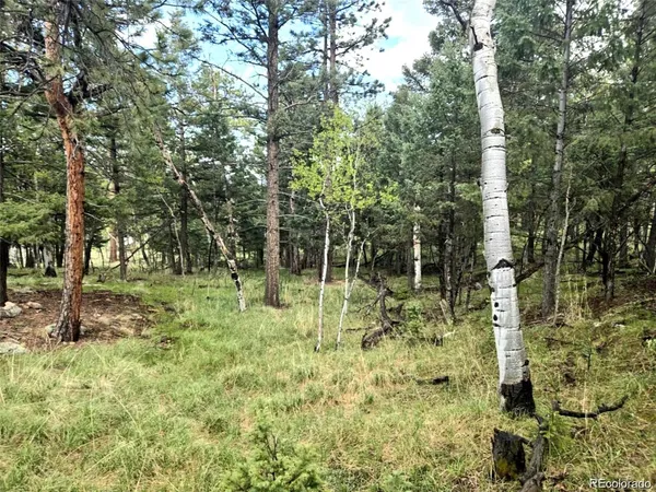 a view of a yard with plants and trees
