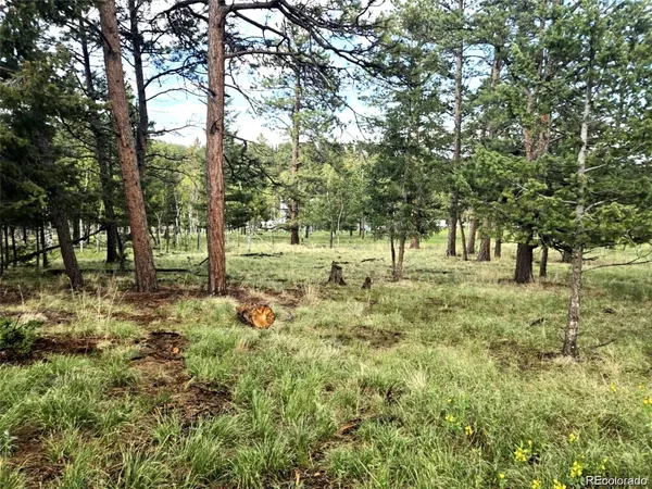 a view of yard with tree