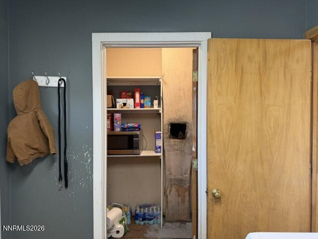 61 Rivers Road Smith, NV 89430 - Photo 36 of 57 a view of walk in closet