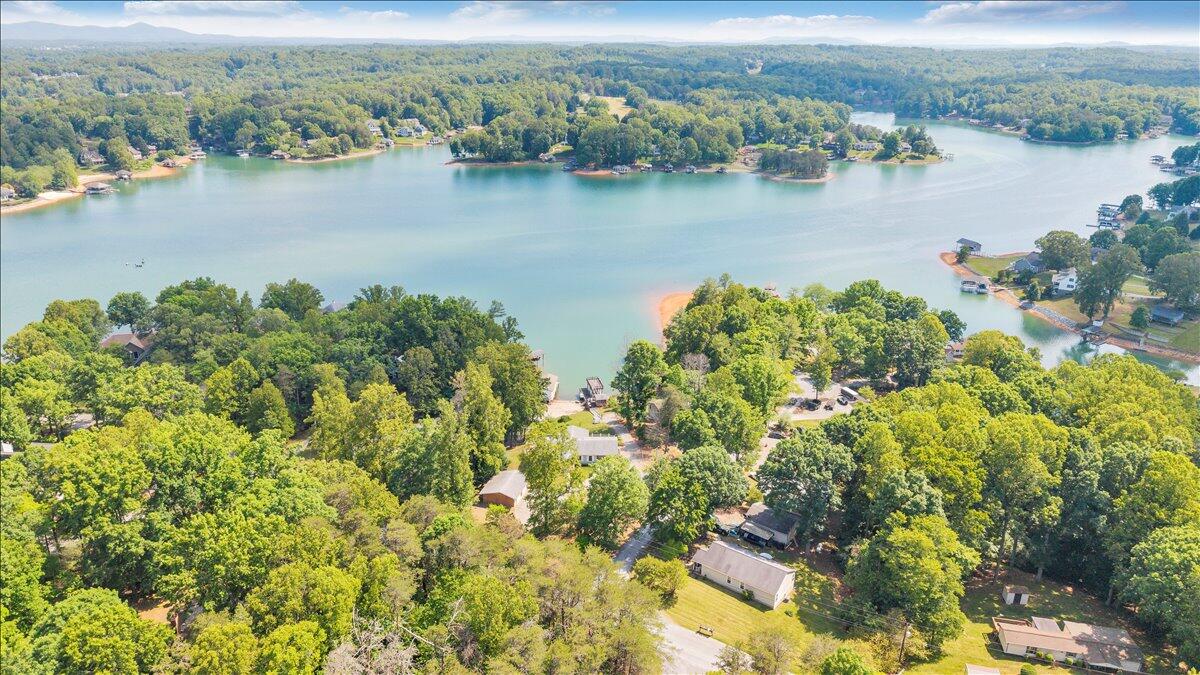 3222 Lakewood Forest Road Moneta, VA 24121 - Photo 90 of 97 90-DJI_20260520153732_0325_D
